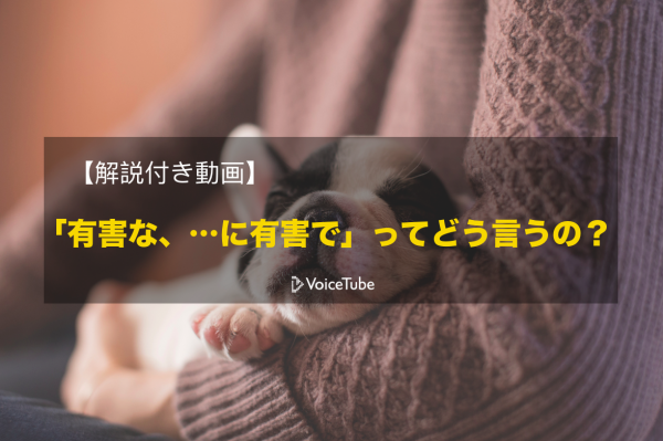 睡眠不足 を英語で言うと 寝不足にまつわる動画で学ぶ英語表現