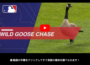 Wild Goose Chase