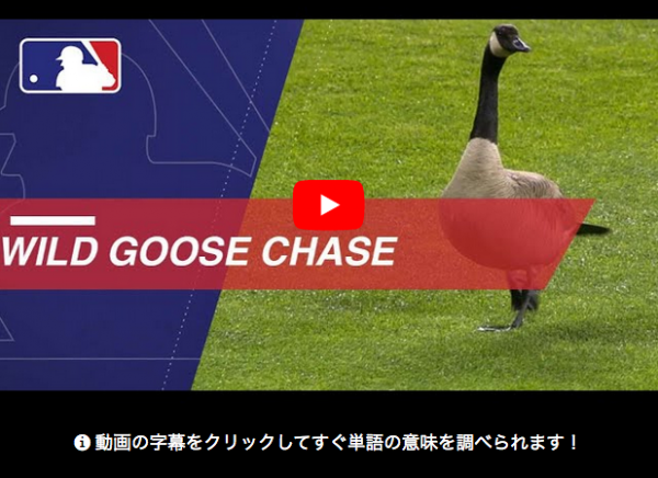 動物に関する英語の慣用句 Wild Goose Chase の意味は