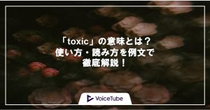 toxic 意味　使い方